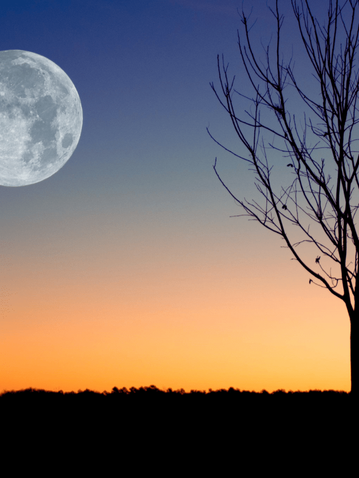 The Moon shining over the evening sky, symbolizing Vedic astrology.